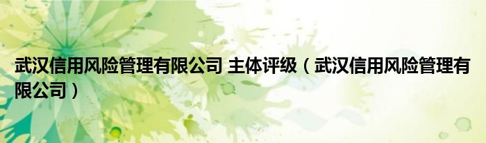 武汉信用风险管理有限公司 主体评级（武汉信用风险管理有限公司）