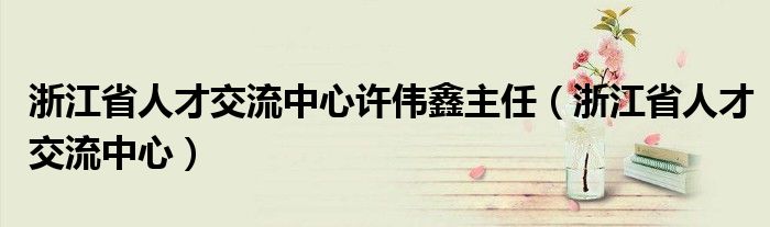 浙江省人才交流中心许伟鑫主任（浙江省人才交流中心）