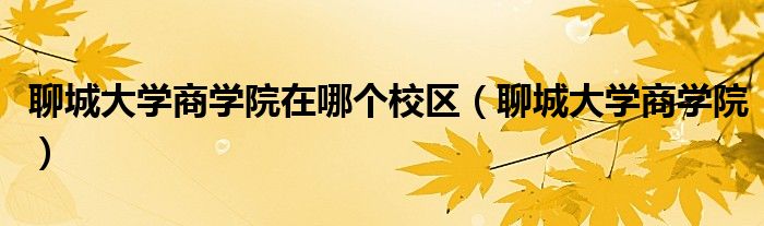 聊城大学商学院在哪个校区（聊城大学商学院）