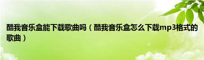 酷我音乐盒能下载歌曲吗（酷我音乐盒怎么下载mp3格式的歌曲）