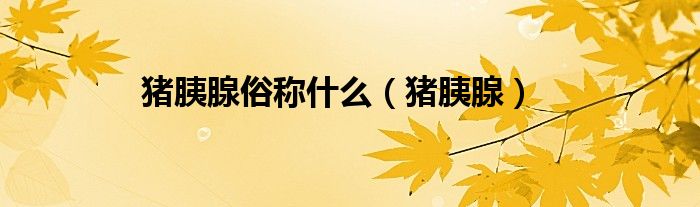 猪胰腺俗称什么（猪胰腺）