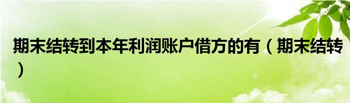 期末结转到本年利润账户借方的有（期末结转）