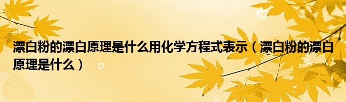 漂白粉的漂白原理是什么用化学方程式表示（漂白粉的漂白原理是什么）