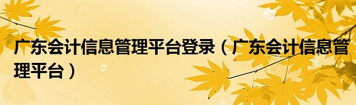 广东会计信息管理平台登录（广东会计信息管理平台）