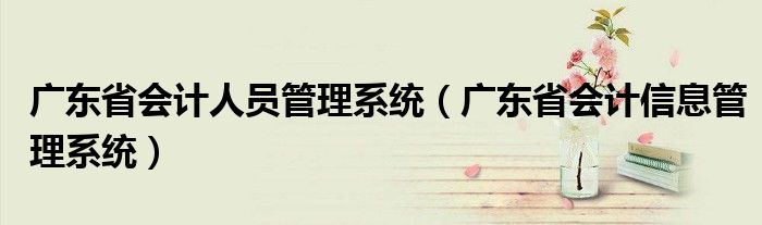 广东省会计人员管理系统（广东省会计信息管理系统）