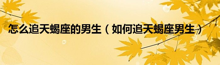 怎么追天蝎座的男生（如何追天蝎座男生）