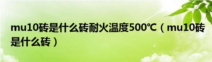 mu10砖是什么砖耐火温度500℃（mu10砖是什么砖）