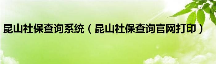 昆山社保查询系统（昆山社保查询官网打印）