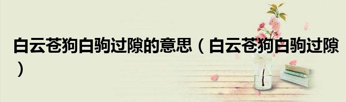 白云苍狗白驹过隙的意思（白云苍狗白驹过隙）