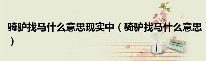 骑驴找马什么意思现实中（骑驴找马什么意思）