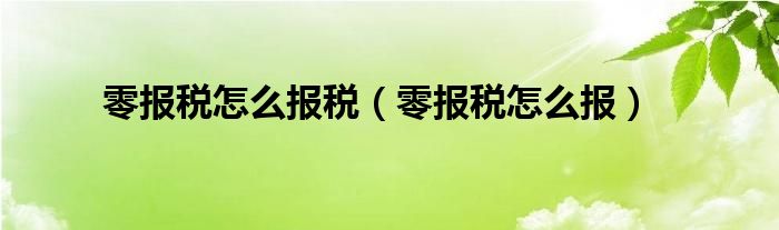 零报税怎么报税（零报税怎么报）