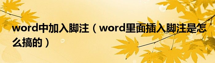 word中加入脚注（word里面插入脚注是怎么搞的）