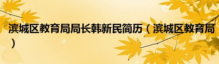 滨城区教育局局长韩新民简历（滨城区教育局）