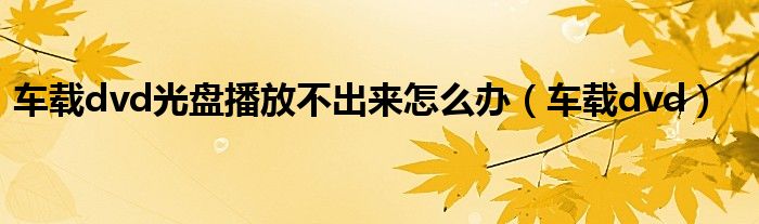 车载dvd光盘播放不出来怎么办（车载dvd）