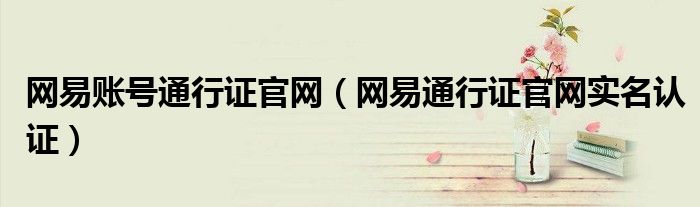 网易账号通行证官网（网易通行证官网实名认证）