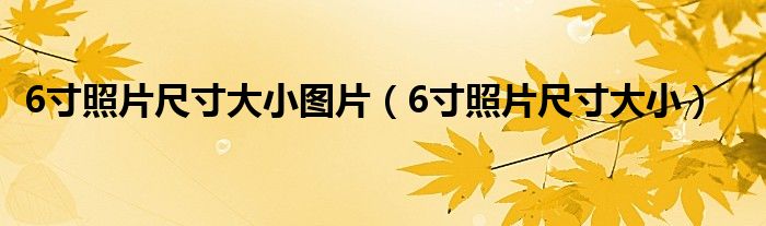 6寸照片尺寸大小图片（6寸照片尺寸大小）