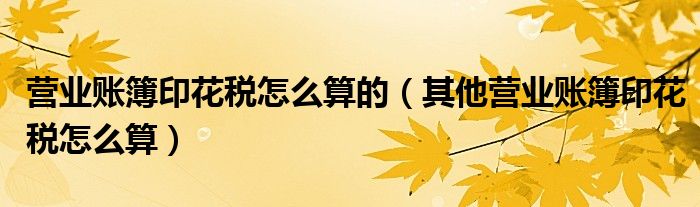 营业账簿印花税怎么算的（其他营业账簿印花税怎么算）