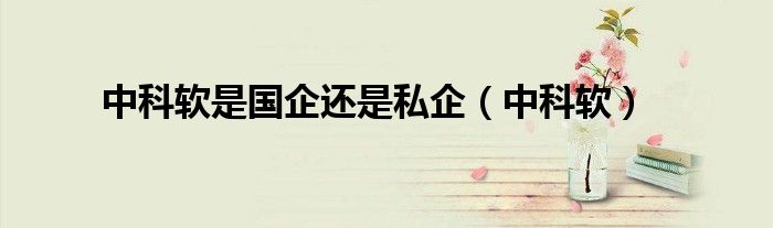 中科软是国企还是私企（中科软）