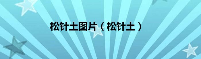 松针土图片（松针土）