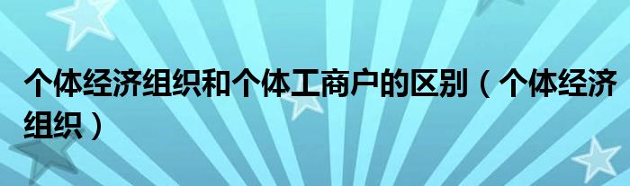 个体经济组织和个体工商户的区别（个体经济组织）
