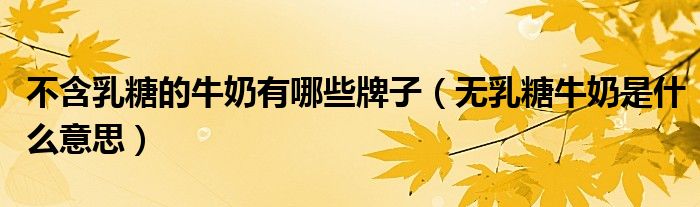 不含乳糖的牛奶有哪些牌子（无乳糖牛奶是什么意思）