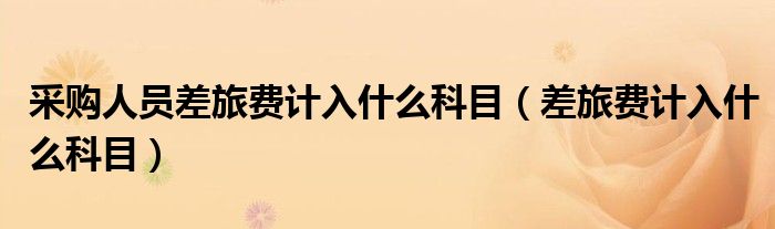 采购人员差旅费计入什么科目（差旅费计入什么科目）