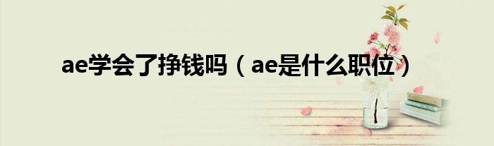 ae学会了挣钱吗（ae是什么职位）