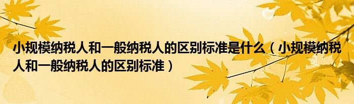 小规模纳税人和一般纳税人的区别标准是什么（小规模纳税人和一般纳税人的区别标准）