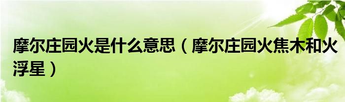 摩尔庄园火是什么意思（摩尔庄园火焦木和火浮星）