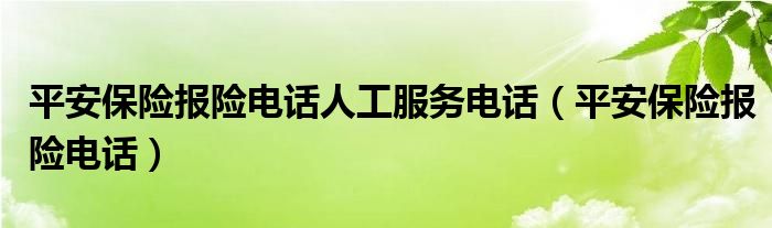 平安保险报险电话人工服务电话（平安保险报险电话）