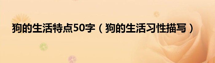 狗的生活特点50字（狗的生活习性描写）