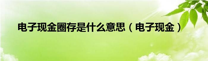 电子现金圈存是什么意思（电子现金）