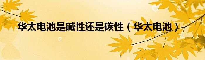 华太电池是碱性还是碳性（华太电池）