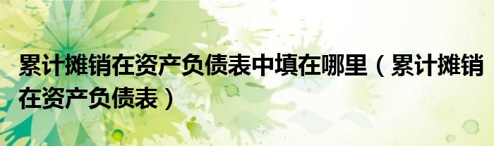 累计摊销在资产负债表中填在哪里（累计摊销在资产负债表）