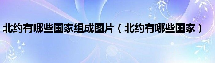 北约有哪些国家组成图片（北约有哪些国家）