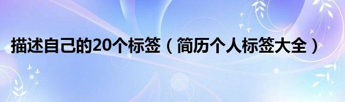 描述自己的20个标签（简历个人标签大全）