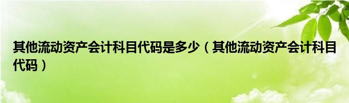 其他流动资产会计科目代码是多少（其他流动资产会计科目代码）