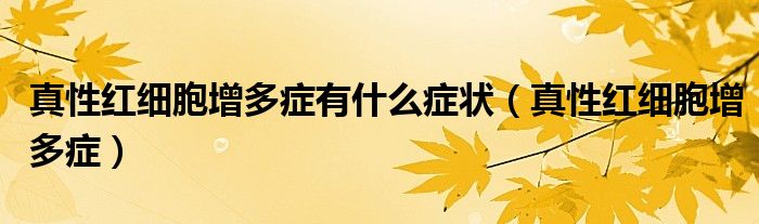 真性红细胞增多症有什么症状（真性红细胞增多症）
