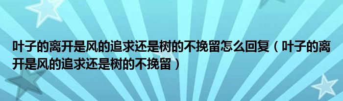 叶子的离开是风的追求还是树的不挽留怎么回复（叶子的离开是风的追求还是树的不挽留）