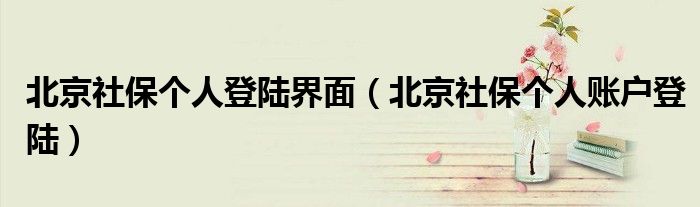 北京社保个人登陆界面（北京社保个人账户登陆）