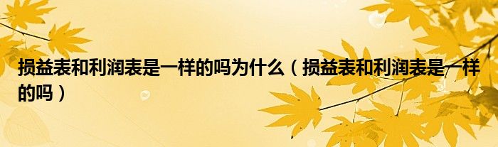 损益表和利润表是一样的吗为什么（损益表和利润表是一样的吗）