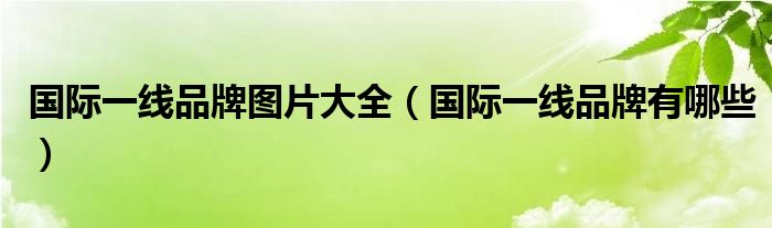 国际一线品牌图片大全（国际一线品牌有哪些）