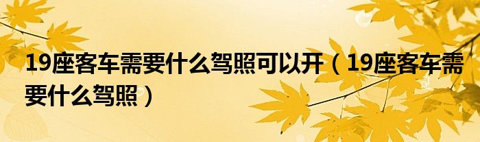 19座客车需要什么驾照可以开（19座客车需要什么驾照）