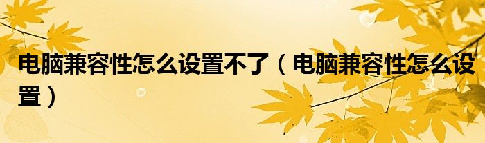 电脑兼容性怎么设置不了（电脑兼容性怎么设置）