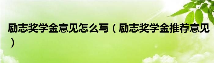 励志奖学金意见怎么写（励志奖学金推荐意见）