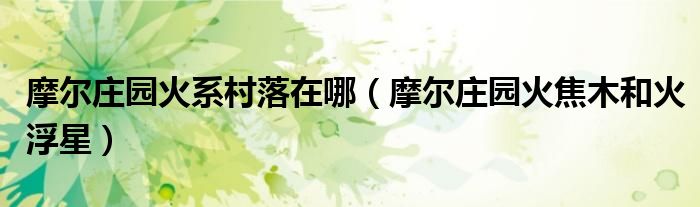 摩尔庄园火系村落在哪（摩尔庄园火焦木和火浮星）