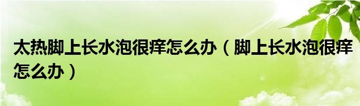 太热脚上长水泡很痒怎么办（脚上长水泡很痒怎么办）