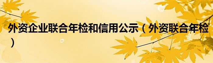 外资企业联合年检和信用公示（外资联合年检）