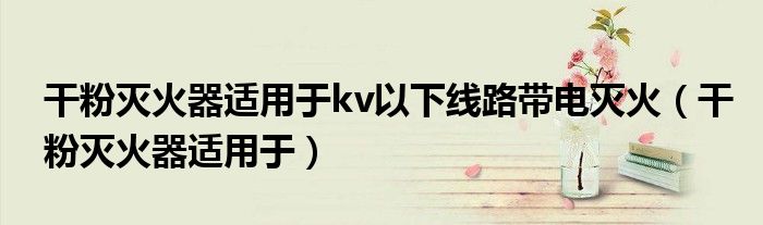 干粉灭火器适用于kv以下线路带电灭火（干粉灭火器适用于）