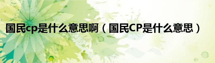 国民cp是什么意思啊（国民CP是什么意思）